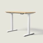 HomeOne desk