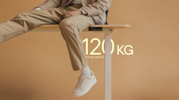 HomeOne desk frame - Image 5