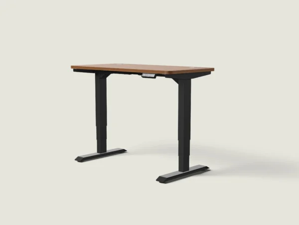 Adjustable Standing Desk - Image 1